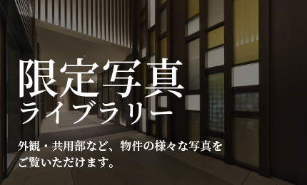 スペシャルコンテンツ