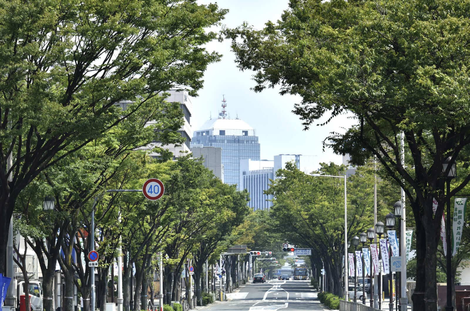 画像提供 堺フィルムオフィス