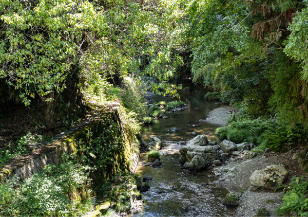 山吹渓谷