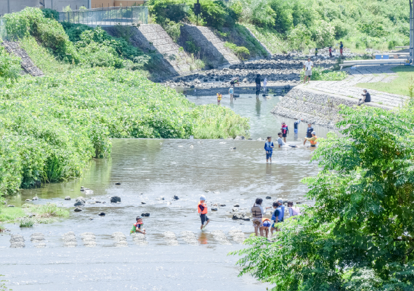 水無瀬川周辺