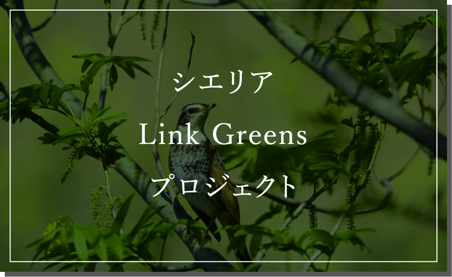 シエリアLink Greensプロジェクト