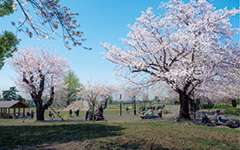 高井戸公園