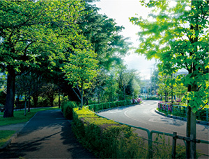 現地周辺の街並み