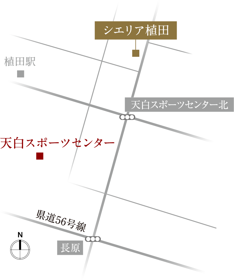 マップ