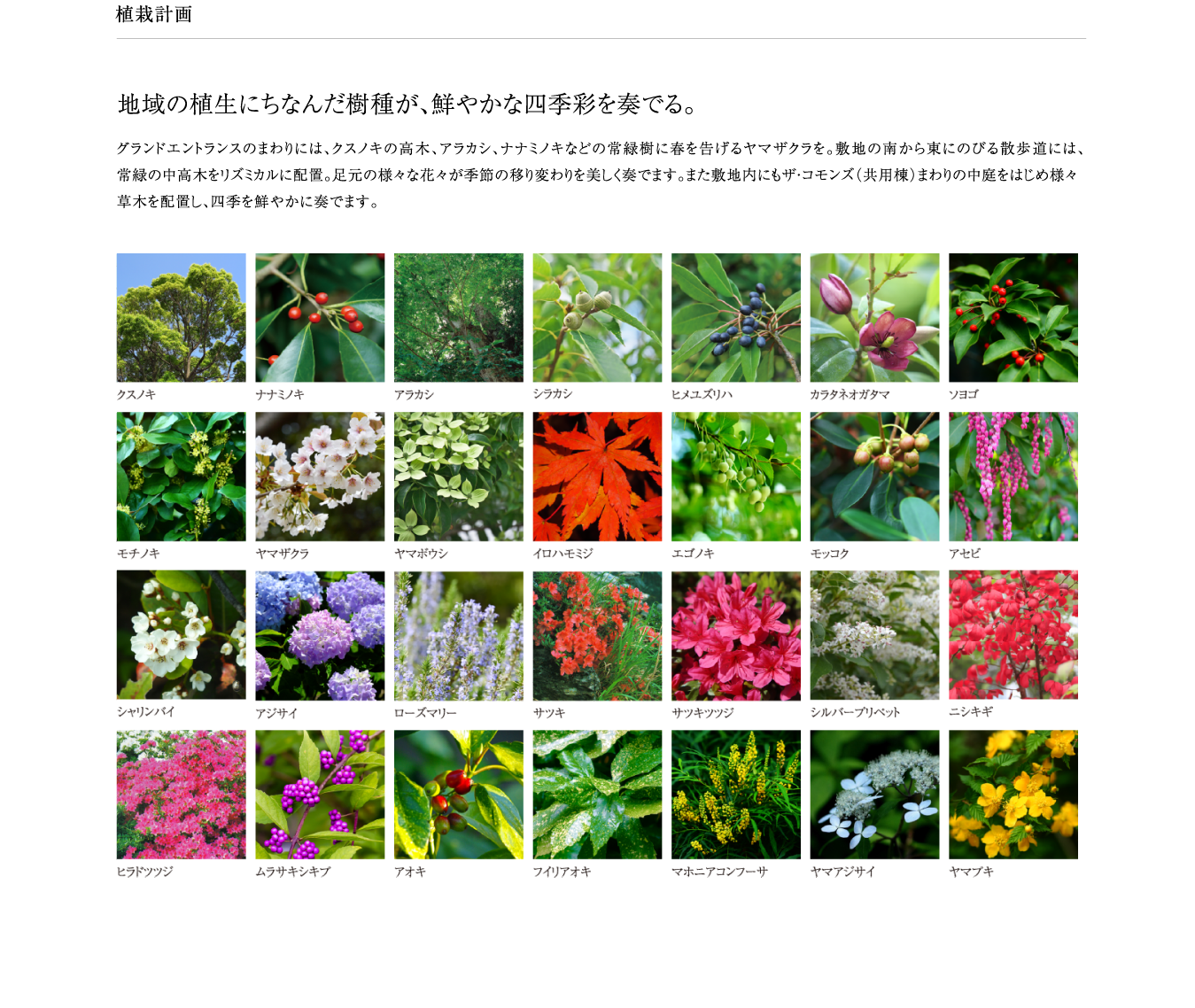地域の生殖にちなんだ樹種が、鮮やかな四季彩を奏でる。