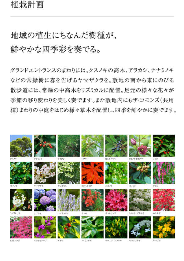 地域の生殖にちなんだ樹種が、鮮やかな四季彩を奏でる。